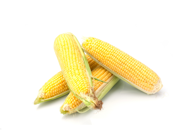 Sweet Corn
